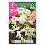 Bulbo Begonia Péndula Doble Gigante Blanco de Rocalba