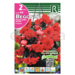 Bulbo Begonia Péndula Doble Gigante Escarlata de Rocalba