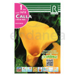 Bulbo Cala Black Magic de Rocalba