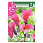 Bulbo Cala Bolero de Rocalba