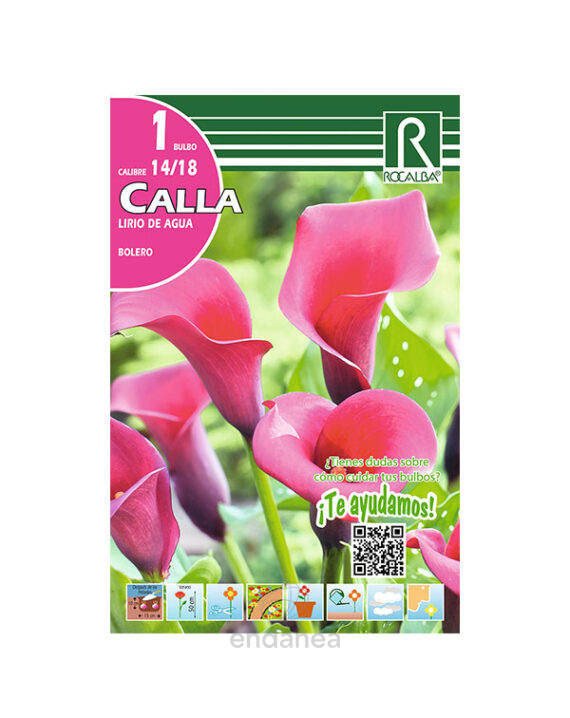 Bulbo Cala Bolero de Rocalba