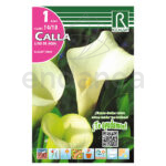 Bulbo Cala Elegant Swan de Rocalba