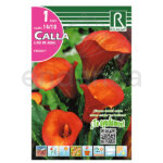 Bulbo Cala Firelight de Rocalba