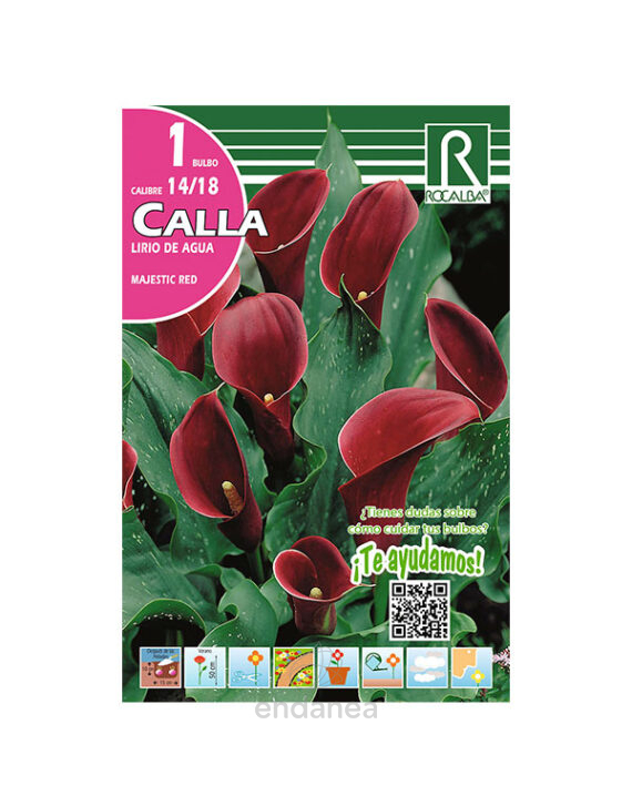 Bulbo Cala Majestic Red de Rocalba