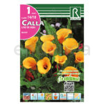 Bulbo Cala Mozart de Rocalba