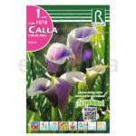 Bulbo Cala Picasso de Rocalba