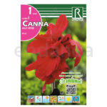 Bulbo Canna Hoja Verde Rojo de Rocalba