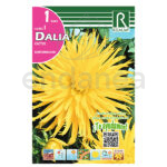 Bulbo Dalia Cactus Kennemerland de Rocalba