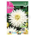 Bulbo Dalia Cactus My Love de Rocalba