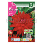 Bulbo Dalia Cactus Wittermans Best de Rocalba