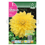 Bulbo Dalia Decorativa Kelvin Floodlight de Rocalba