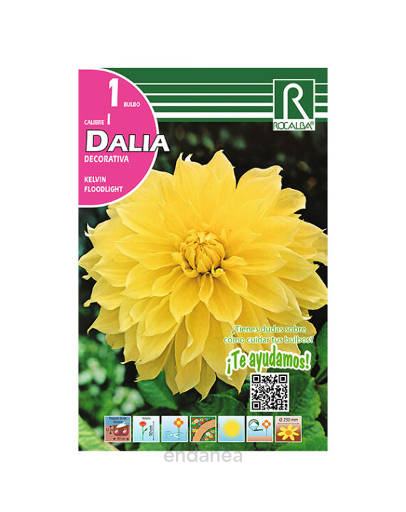 Bulbo Dalia Decorativa Kelvin Floodlight de Rocalba