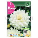 Bulbo Dalia Decorativa Snowcountry de Rocalba