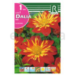 Bulbo Dalia Mini La Gioconda de Rocalba