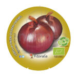 Cebolla Figueras ECO Planta
