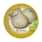 Cebolla Dulce de Fuentes ECO Planta