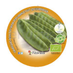 Guisante Tirabeque ECO Planta