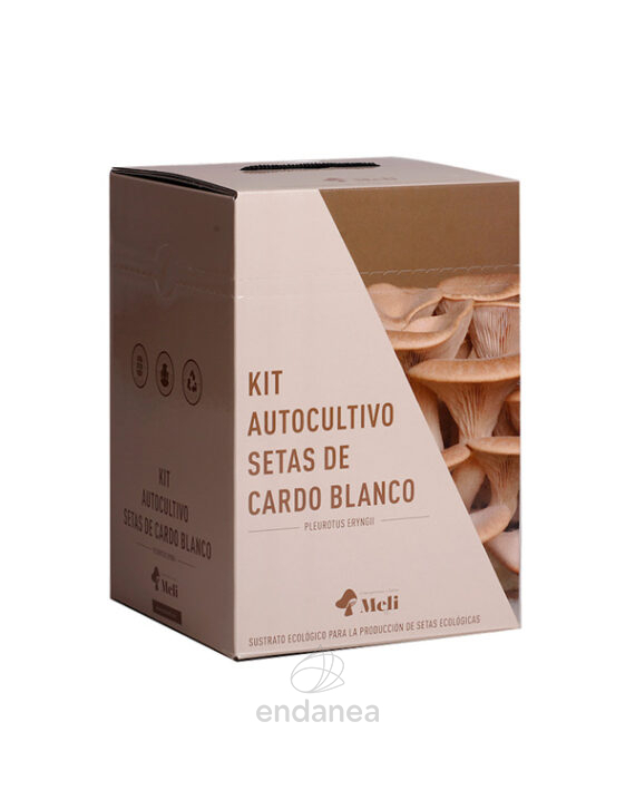 Kit Autocultivo de Setas