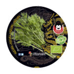Mizuna ECO Planta