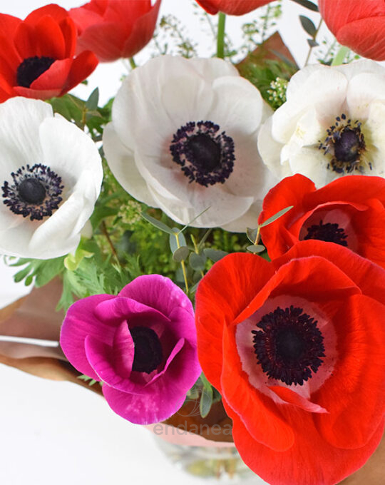 ramo-de-anemonas-floristeria-m-detalle
