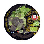 Tatsoi ECO Planta 10,5 cm Ø Fitoralia