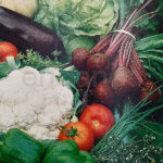 Abono Granulado Universal Vilmorin 800 g