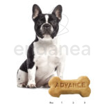 Hypoallergenic Snack de Advance
