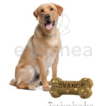 Appetite Control Snack de Advance