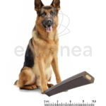 Articular Stick de Advance Snack Perros