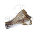 Beef Paddle Bone Snack Natural de Beeztees