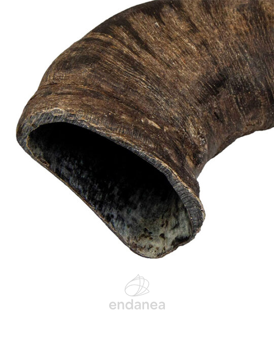 cuerno-asta-de-bufalo-snack-natural-trixie-detalle