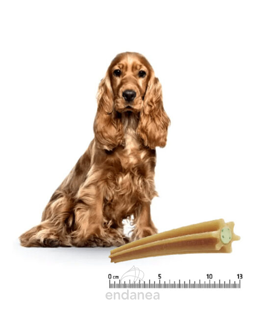 dental-care-stick-medium-maxi-10kg-advance-perro