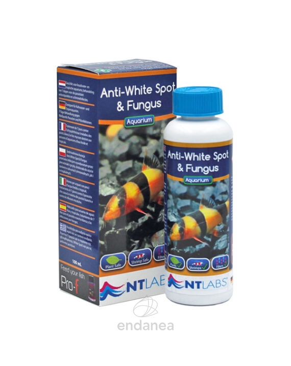 Anti-White Spot and Fungus de NTLabs