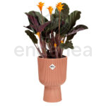 Maceta Elho Vibes Fold Coupe Delicate Pink