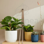 Maceta Elho Vibes Fold Round Mini Butter Yellow