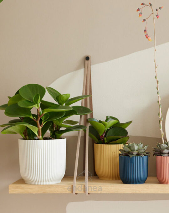 maceta-elho-vibes-fold-round-mini-butter-yellow-deco