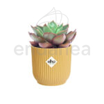 Maceta Elho Vibes Fold Round Mini Butter Yellow