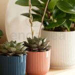 Maceta Elho Vibes Fold Round Mini Silky White