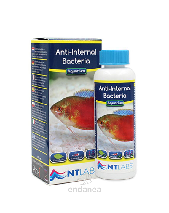 Anti-Internal Bacteria de NTLabs 100 ml