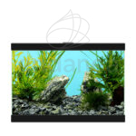 Aqua 15C Ciano Acuario