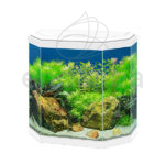 Aqua 30 Led CIANO® Blanco