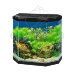Aqua 30 Led CIANO® Negro