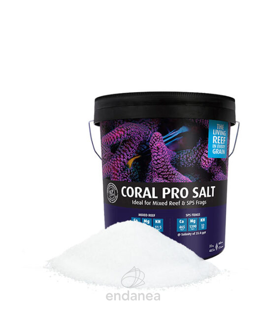 coral-pro-salt-red-sea-sal-marina