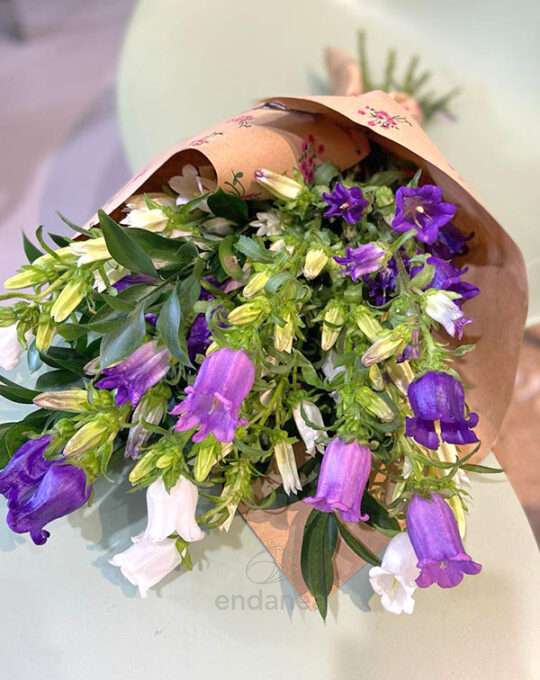 paquete-de-campanulas-blancas-moradas-ramo