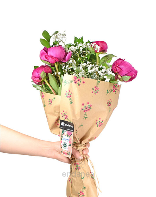 paquete-de-peonias-hazlo-tu-mismo