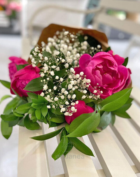 paquete-de-peonias-hazlo-tu-mismo-color-fucsia-deco