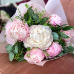 Paquete de Peonías Hazlo tu Mismo Rosa