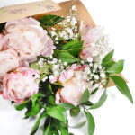 Paquete de Peonías Hazlo tu Mismo Rosa
