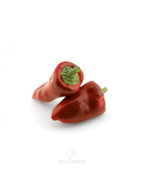 pimiento-piquillo-planta-horticola-fruto