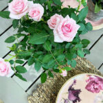 Rosal de Pitiminí o Rosal Mini Rosa